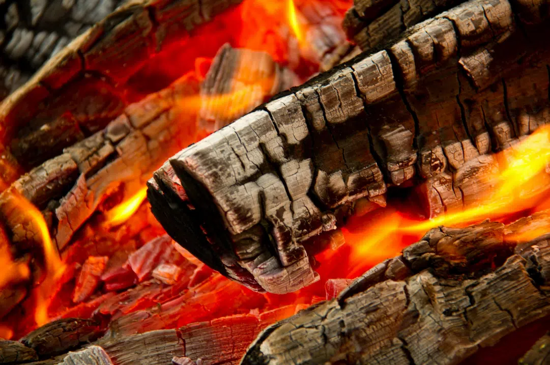 Quels sont les avantages ecologiques du bois de chauffage et comment le choisir ?