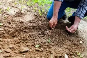 Améliorer votre jardin grâce à la connaissance des types de sols