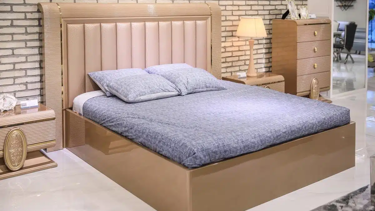 Comment combattre efficacement les punaises de lit ?