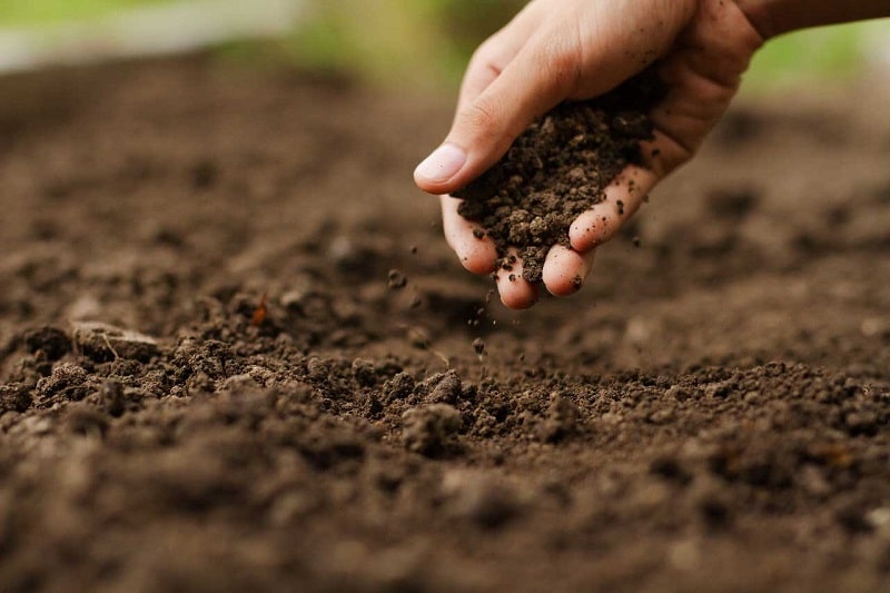 Pourquoi réaliser une étude de sol, avant des travaux de terrassement ?