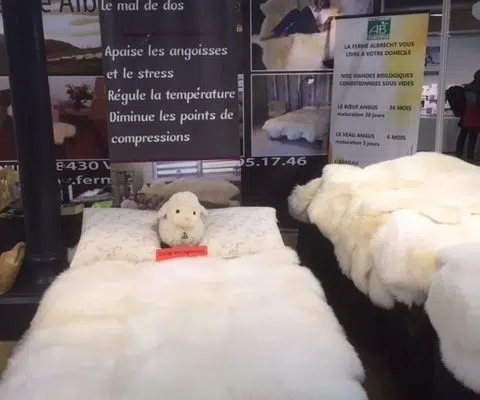 Comment nettoyer un tapis mouton ?