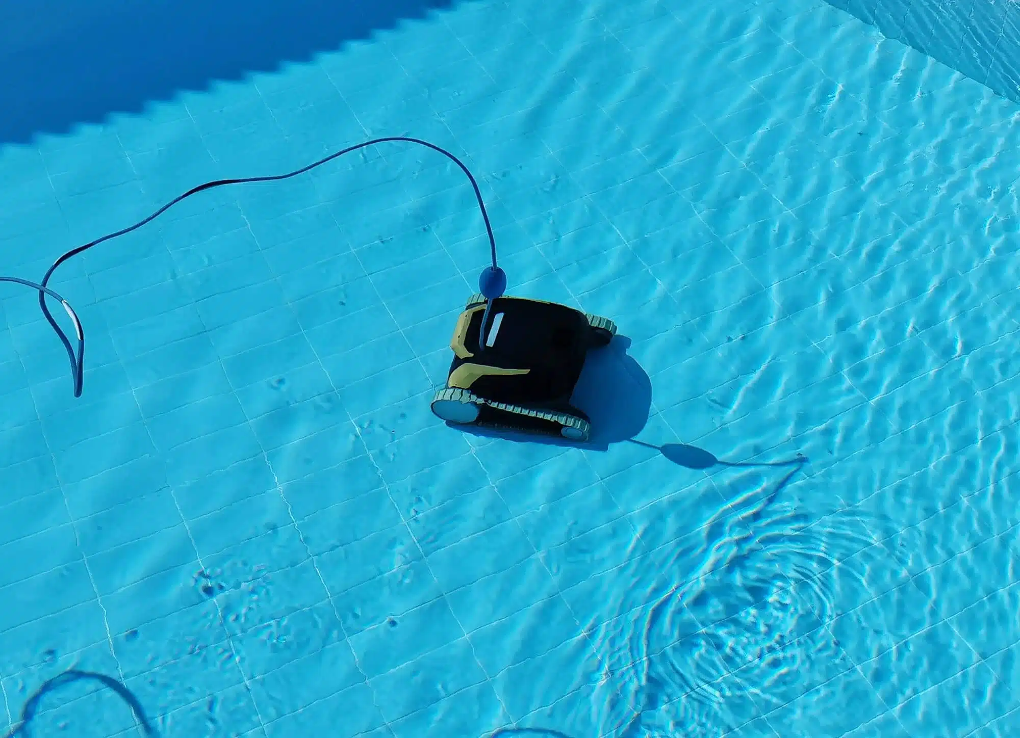 Robot de piscine Dolphin pour un nettoyage systématique, rapide et propre