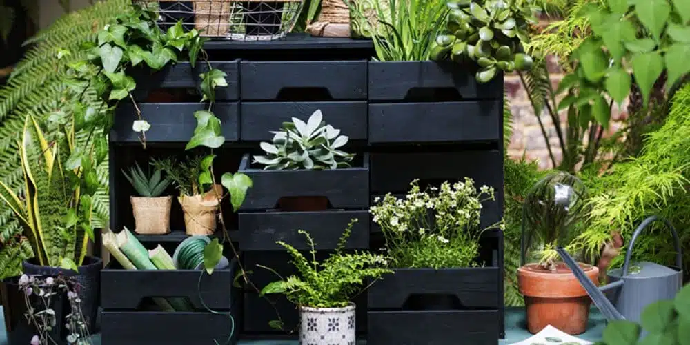 Les meilleures plantes pour réussir votre jardin en fonction de votre climat et de la saison