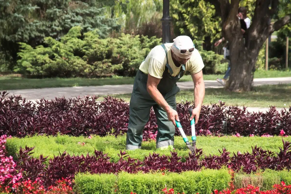 devenir jardinier sans diplôme